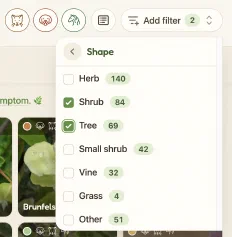 The new shape filter.